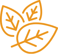 AOV verzekering afsluiten