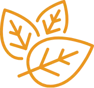 AOV verzekering afsluiten